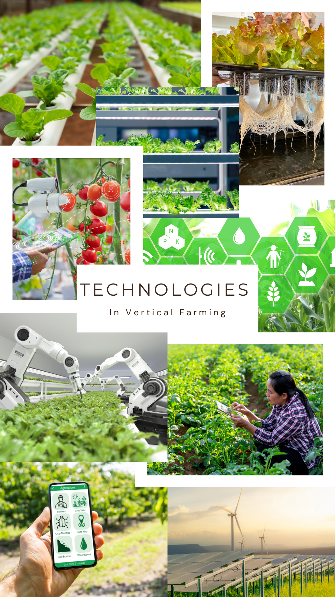 Technologies we leverage in Vertical Farming