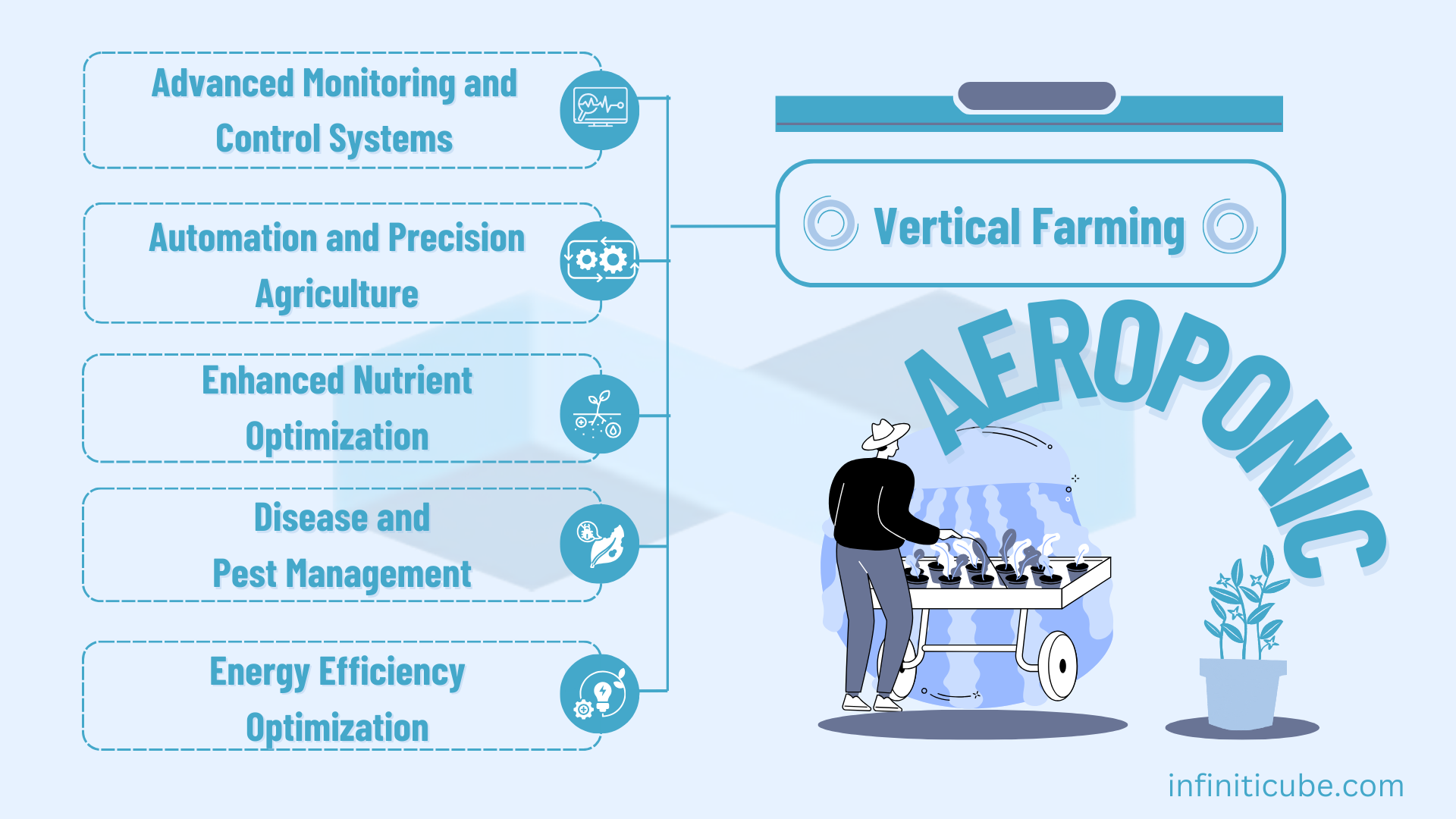 Technology in Aeroponic Farming